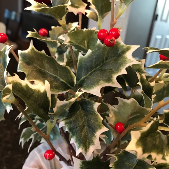 New Pottery Barn Faux Potted Holly, Holiday Plant - Picture 10 of 13